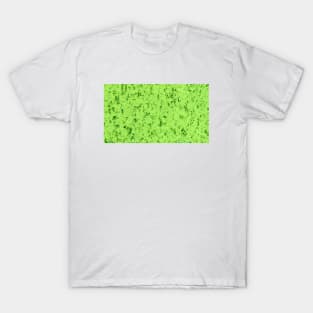 Light Green Marble Texture T-Shirt